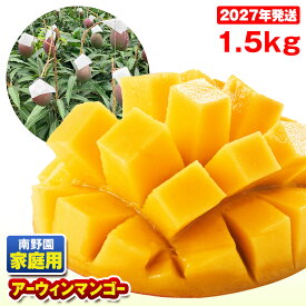 【ふるさと納税】【2027年発送】南野園 家庭用 アーウィンマンゴー1.5kg