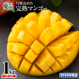 【ふるさと納税】【2026年発送】「優品」丹精込めた完熟マンゴー1kg　2玉〜3玉