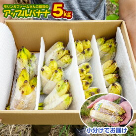 楽天ふるさと納税の返礼品