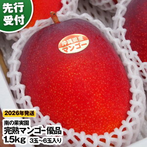 yӂ邳Ɣ[Łzy2026Nz̉ʎ@ystzn}S[ Di 1.5kgi3ʁ`6ʓj