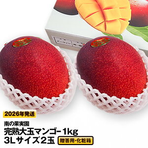 yӂ邳Ɣ[Łzy2026Nz̉ʎ@ypEϔznʃ}S[1kg@3LTCY2ʁ@pϔ