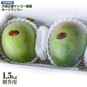 yӂ邳Ɣ[Łzy2026Nz鐳Y}S[_@L[c}S[@p1.5kg
