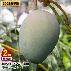 yӂ邳Ɣ[Łzy2026Nz݂˃}S[_@pL[c}S[2kg