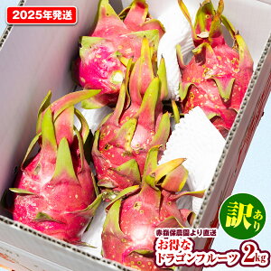 yӂ邳Ɣ[Łzy2025Nz󂠂@ԗ۔_蒼@ȃhSt[c2kg