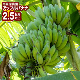 【ふるさと納税】南風原農園　アップルバナナ　2.5kg以上