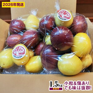 【ふるさと納税】【2026年発送】パッションベビー食べ比べセット 家庭用1.5kg