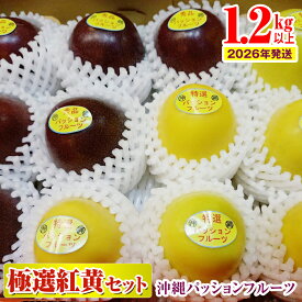 【ふるさと納税】【2026年発送】沖縄パッションフルーツ　極選紅黄セット1.2kg以上