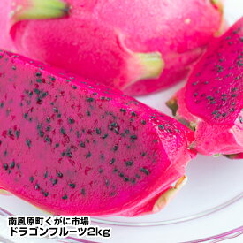 【ふるさと納税】【2025年発送】南風原町くがに市場　ドラゴンフルーツ2kg