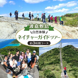 【ふるさと納税】【渡嘉敷村】自然体験 ネイチャーガイドツアー（ハイキング）渡嘉敷島・約3時間コース | リゾート 沖縄 渡嘉敷村 とかしき 観光 旅行 トラベル ホテル クーポン チケット 予約 宿泊 おすすめ 人気 春 夏 秋 冬