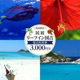 【ふるさと納税】民宿 リーフイン国吉（渡嘉敷島・3,000円分）旅行 宿泊利用券 沖縄 渡嘉敷村 とかしき 人気 無料 配送無料