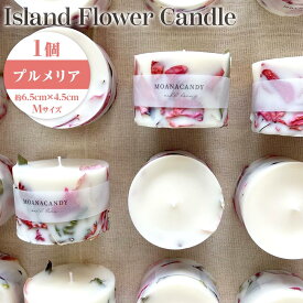 【ふるさと納税】キャンドル プルメリア Mサイズ（6.5cm×4.5cm）沖縄 渡嘉敷村 とかしき 人気 お取り寄せ 無料 配送無料 | リゾート 沖縄 渡嘉敷村 とかしき 観光 旅行 トラベル ホテル クーポン チケット 予約 宿泊 おすすめ 人気 春 夏 秋 冬