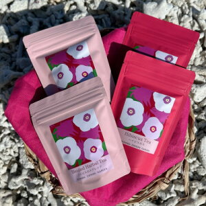 yӂ邳Ɣ[ŁzԖYnCrXJX&nCrXJXuh ݔ׃Zbg e2(1܂:2g×5)y1687083z