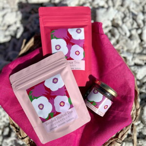 yӂ邳Ɣ[ŁzԖYn[ueB[ݔ׃Zbg(nCrXJX&nCrXJX uh e1&W1)y1687087z