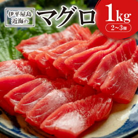 【ふるさと納税】伊平屋島近海のマグロ1kg(マイナス60℃急速冷凍)【配送不可地域：離島】【1497092】