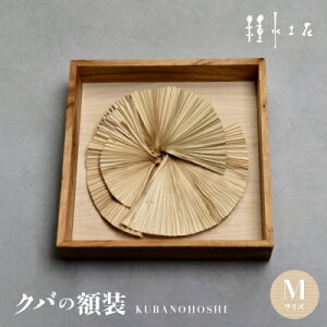 yӂ邳Ɣ[ŁzNo̊zKUBANOHOSHI(ؖ)MTCYy1502325z
