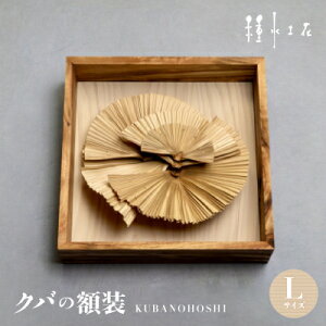 yӂ邳Ɣ[ŁzNo̊zKUBANOHOSHI(ؖ)LTCYy1502326z