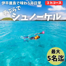 【ふるさと納税】【貸し切りプラン】手ぶらでシュノーケル(3～5名様/3時間コース)【1523912】