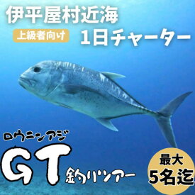 【ふるさと納税】【貸し切りプラン】沖釣りチャーター 上級者向け1日プラン(1～5名様)【1523917】