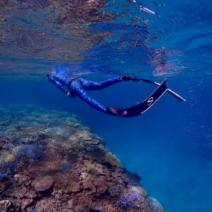 【ふるさと納税】スキンダイビング(2名様2時間コース)【1536044】