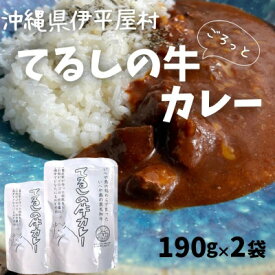 【ふるさと納税】てるしの牛カレー ゴロっとお肉とデミグラソース入り 子どもにも美味しい欧州カレー【1604515】