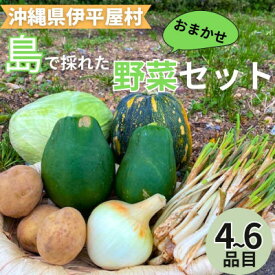 【ふるさと納税】島で採れた新鮮野菜詰め合わせセット(4～6品目)【配送不可地域：離島】【1606515】