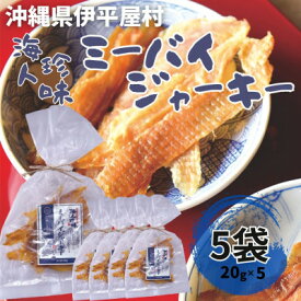 【ふるさと納税】海人珍味 ミーバイジャーキー 20g×5袋【1608279】