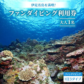 【ふるさと納税】ファンダイビング利用券 大人1名(1日3ダイブまで利用可能)【1706984】