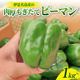 【ふるさと納税】【2026年4月から順次発送】農家直送!伊是名島産の肉厚もぎたてピーマン1kg【1731190】