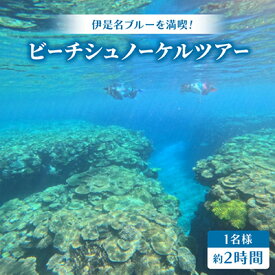 【ふるさと納税】【伊是名ブルーを満喫】手ぶらでOK!ビーチシュノーケルツアー(1名様・約2時間)【1731203】