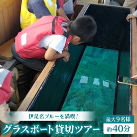 【ふるさと納税】【伊是名ブルーを満喫】グラスボート貸切ツアー(最大9名様・約40分)【1731207】
