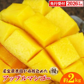【ふるさと納税】【先行受付】【2026年発送】屋宜原農園が丹精込めた「アップルマンゴー」優約2kg - 先行予約 沖縄県産 産地直送 南国フルーツ 旬の味覚 季節の果物 贈り物 ギフト 沖縄県 八重瀬町