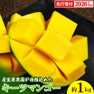yӂ邳Ɣ[Łzystzy2026NzX_O߂uL[c}S[v1kg - s\  Yn 썑t[c {̖o ꌧY Y}S[ 󏭎 IXX 