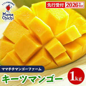 yӂ邳Ɣ[Łzystzy2026Nz}}``}S[t@[̃L[c}S[1kg - s\  Yn 썑t[c {̖o ꌧY Y}S[ 󏭎 G߂̉ʕ 