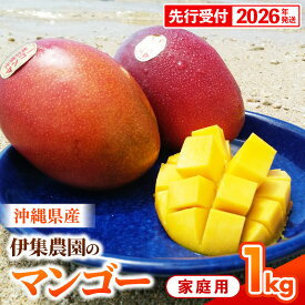 【ふるさと納税】【先行受付】【2026年発送】伊集農園 沖縄県産マンゴー ご家庭用 約1kg - 先行予約 沖縄 産地直送 南国フルーツ 旬の味覚 家庭用 1キロ オススメ 沖縄県 八重瀬町