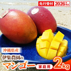 【ふるさと納税】【先行受付】【2026年発送】伊集農園 沖縄県産マンゴー ご家庭用 約2kg - 先行予約 沖縄 産地直送 南国フルーツ 旬の味覚 家庭用 2キロ オススメ 沖縄県 八重瀬町