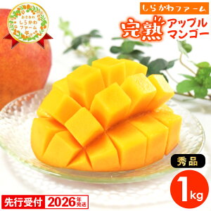 yӂ邳Ɣ[Łzystzy2026Nz炩t@[̃Abv}S[ G 1kg - s\  Yn 썑t[c {̖o {̃t[c 蕨 Mtg ꌧ d