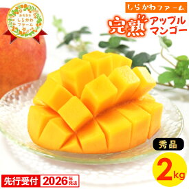 【ふるさと納税】【先行受付】【2026年発送】しらかわファームのアップルマンゴー 秀 約2kg - 先行予約 沖縄 産地直送 南国フルーツ 旬の味覚 旬のフルーツ 贈り物 ギフト 沖縄県 八重瀬町
