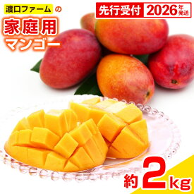 【ふるさと納税】【先行受付】【2026年発送】渡口ファームの家庭用マンゴー約2kg - 先行予約 沖縄県産 産地直送 南国フルーツ 旬の味覚 季節の果物 ご自宅用 沖縄マンゴー 沖縄県 八重瀬町