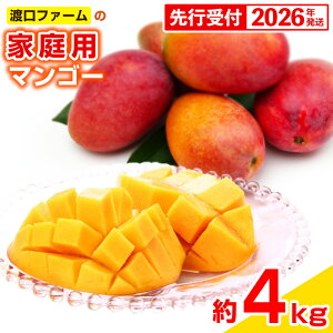 yӂ邳Ɣ[Łzystzy2026Nznt@[̉ƒp}S[4kg - s\  Yn 썑t[c {̖o ƒp p e 4L IXX ꌧ d