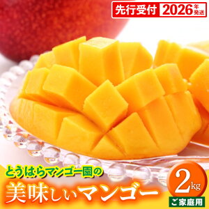 yӂ邳Ɣ[Łzystzy2026NzƂ͂}S[̔}S[ƒp 2kg - s\  Yn 썑t[c {̖o ƒp p 2L IXX ꌧ 