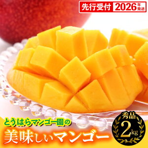 yӂ邳Ɣ[ŁzyϔzystE2026NzƂ͂}S[̔}S[Gi 2kg - s\  Yn 썑t[c {̖o {̃t[c 蕨 Mtg 