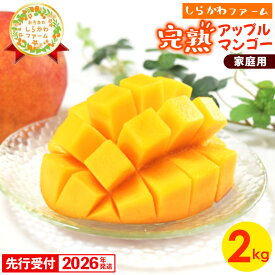 【ふるさと納税】【先行受付】【2026年発送】しらかわファームの家庭用アップルマンゴー約2kg - 先行予約 沖縄県産 産地直送 南国フルーツ 旬の味覚 季節の果物 ご自宅用 家庭用 沖縄県 八重瀬町