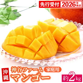 【ふるさと納税】【先行受付】【2026年発送】神谷ファームのマンゴー（家庭用）約2Kg - 先行予約 沖縄県産 産地直送 南国フルーツ 旬の味覚 季節の果物 ご自宅用 沖縄マンゴー 沖縄県 八重瀬町