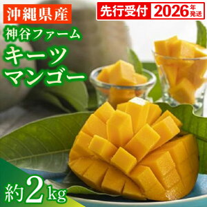 yӂ邳Ɣ[Łzystzy2026Nz_Jt@[̃L[c}S[ 2kg - s\ ꌧY Yn 썑t[c {̖o G߂̉ʕ 󏭎 蕨 Mtg ꌧ d