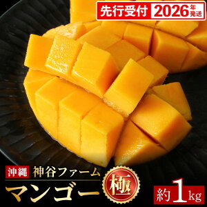 yӂ邳Ɣ[ŁzyϔzystE2026Nz_Jt@[̃}S[iɁj1Kg - s\ ꌧY Yn 썑t[c {̖o G߂̉ʕ 蕨 Mtg ꌧ d