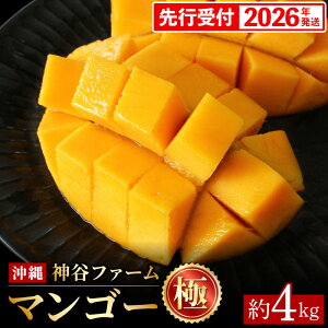 yӂ邳Ɣ[ŁzyϔzystE2026Nz_Jt@[̃}S[iɁj4Kg - s\ ꌧY Yn 썑t[c {̖o G߂̉ʕ 蕨 Mtg ꌧ d
