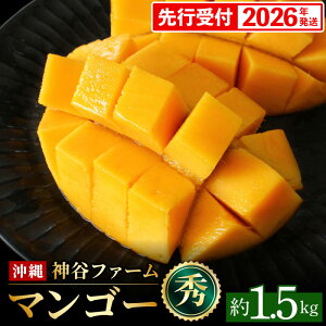 yӂ邳Ɣ[ŁzyϔzystE2026Nz_Jt@[̃}S[iGj1.5Kg - s\ ꌧY Yn 썑t[c {̖o G߂̉ʕ 蕨 Mtg ꌧ d