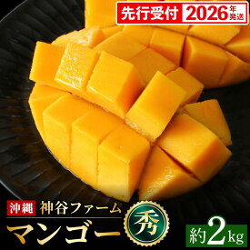 【ふるさと納税】【化粧箱入】【先行受付・2026年発送】神谷ファームのマンゴー（秀）約2kg - 先行予約 沖縄県産 産地直送 南国フルーツ 旬の味覚 季節の果物 贈り物 ギフト 沖縄県 八重瀬町