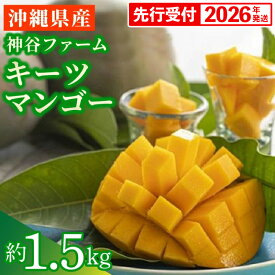 【ふるさと納税】【先行受付】【2026年発送】神谷ファームのキーツマンゴー 約1.5kg - 先行予約 沖縄県産 産地直送 南国フルーツ 旬の味覚 季節の果物 希少種 贈り物 ギフト 沖縄県 八重瀬町
