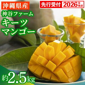 yӂ邳Ɣ[Łzystzy2026Nz_Jt@[̃L[c}S[ 2.5kg - s\ ꌧY Yn 썑t[c {̖o G߂̉ʕ 󏭎 蕨 Mtg ꌧ d